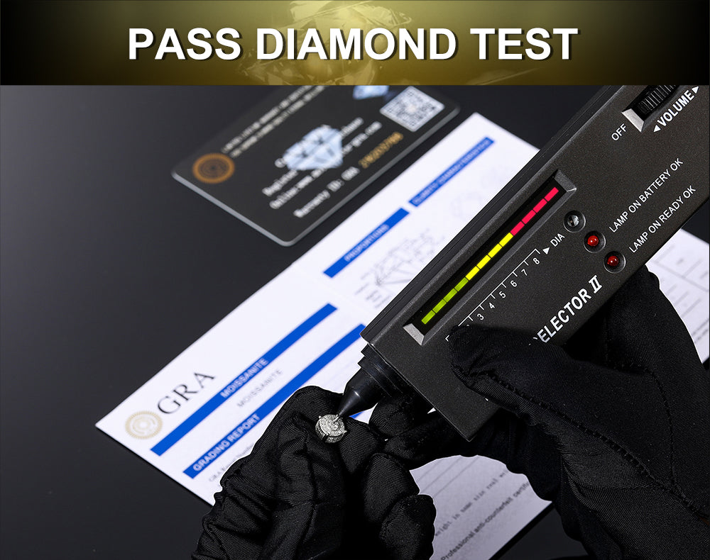 925SS Moissanite VVS Icy Memorial Photo Pendent