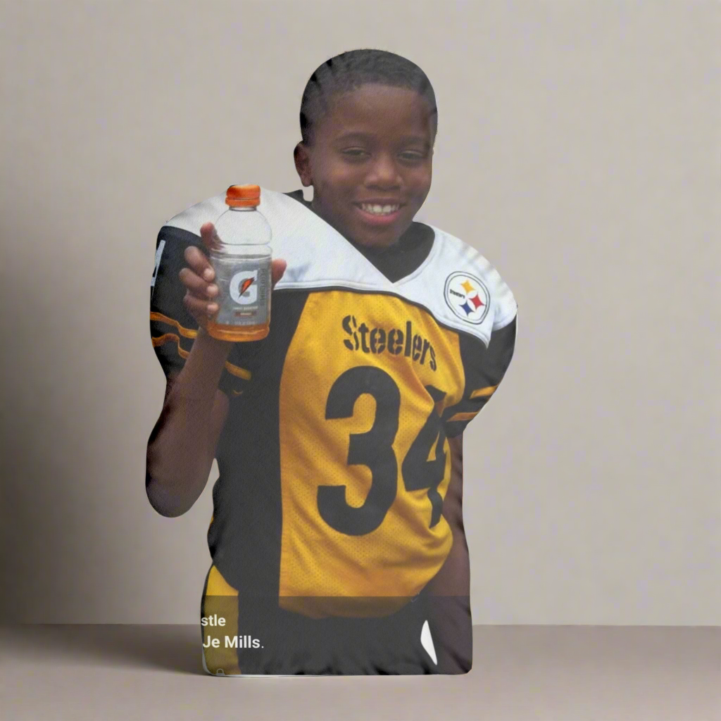 Custom Shaped Pillows