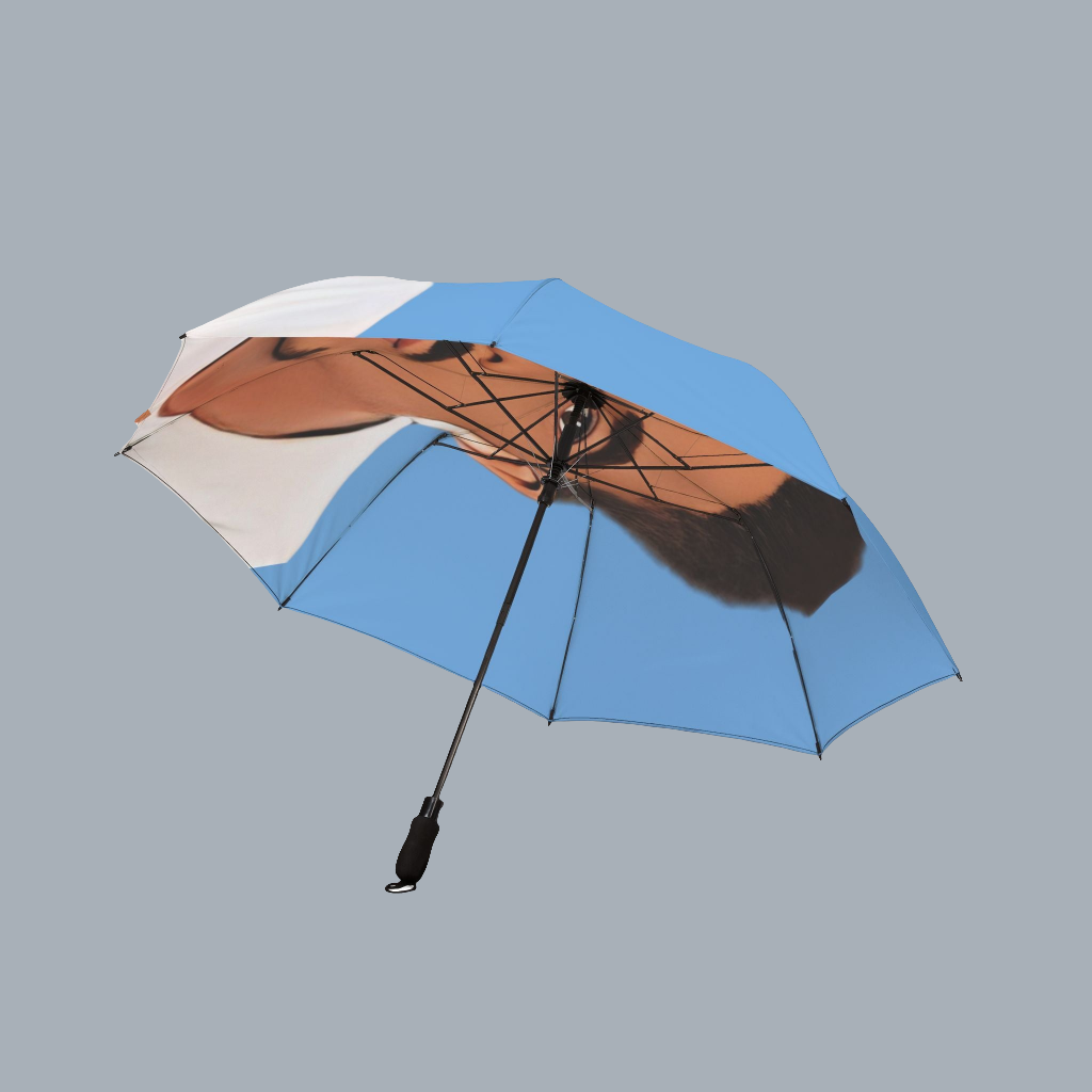 King of the Clouds Custom Umbrella,