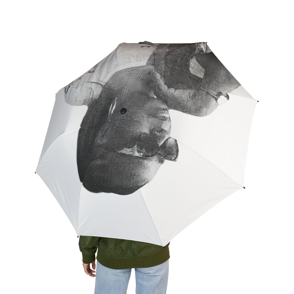 King of the Clouds Custom Umbrella,