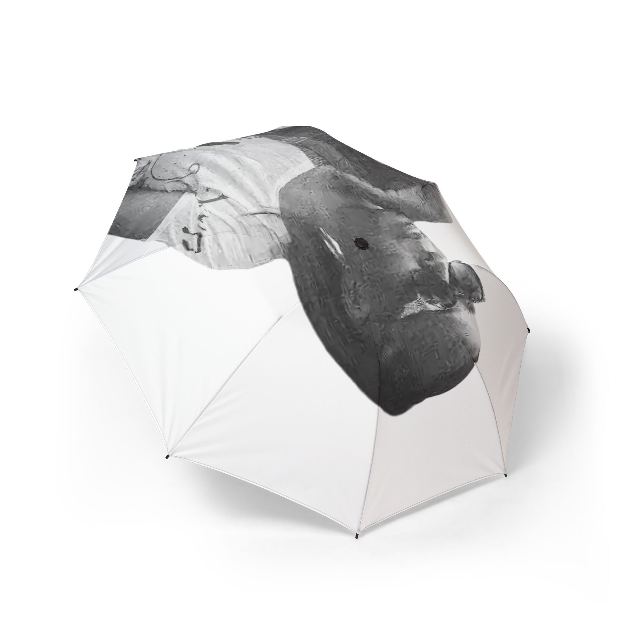 King of the Clouds Custom Umbrella,