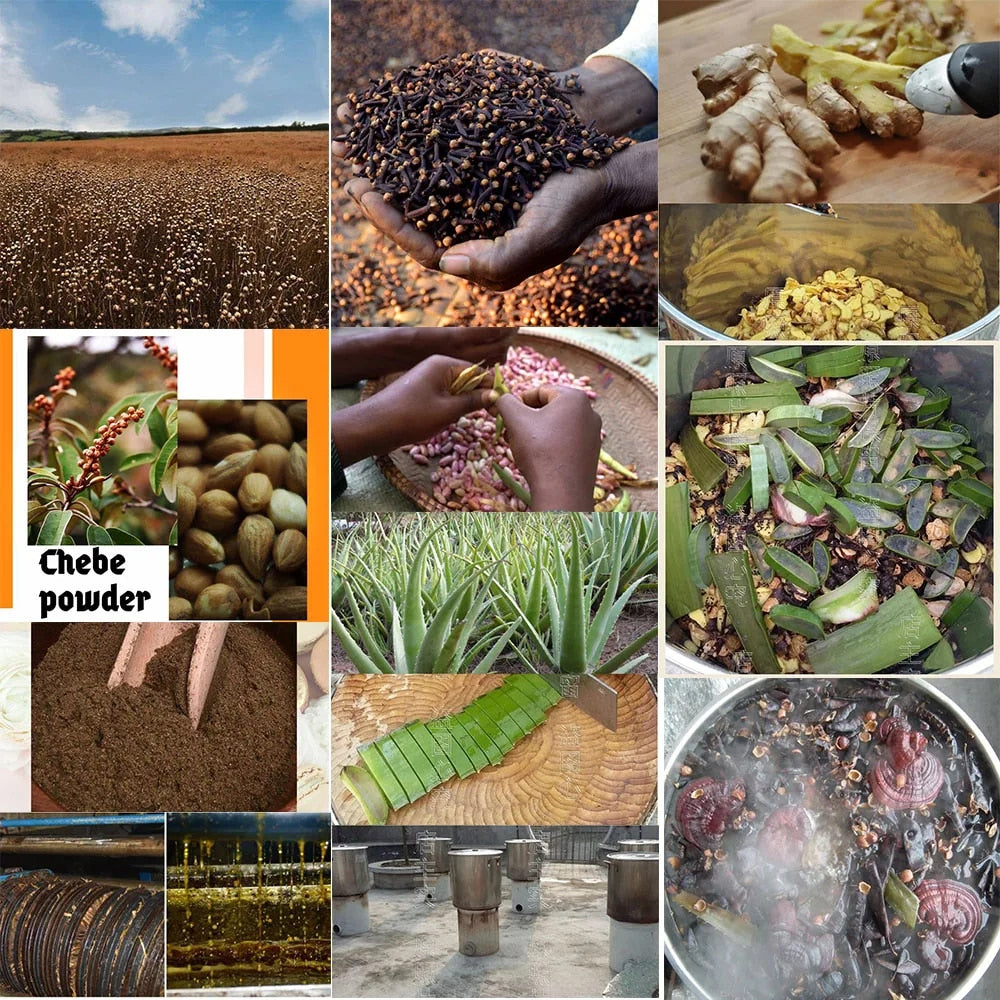 Chebe Powder Oil for faster hair growth