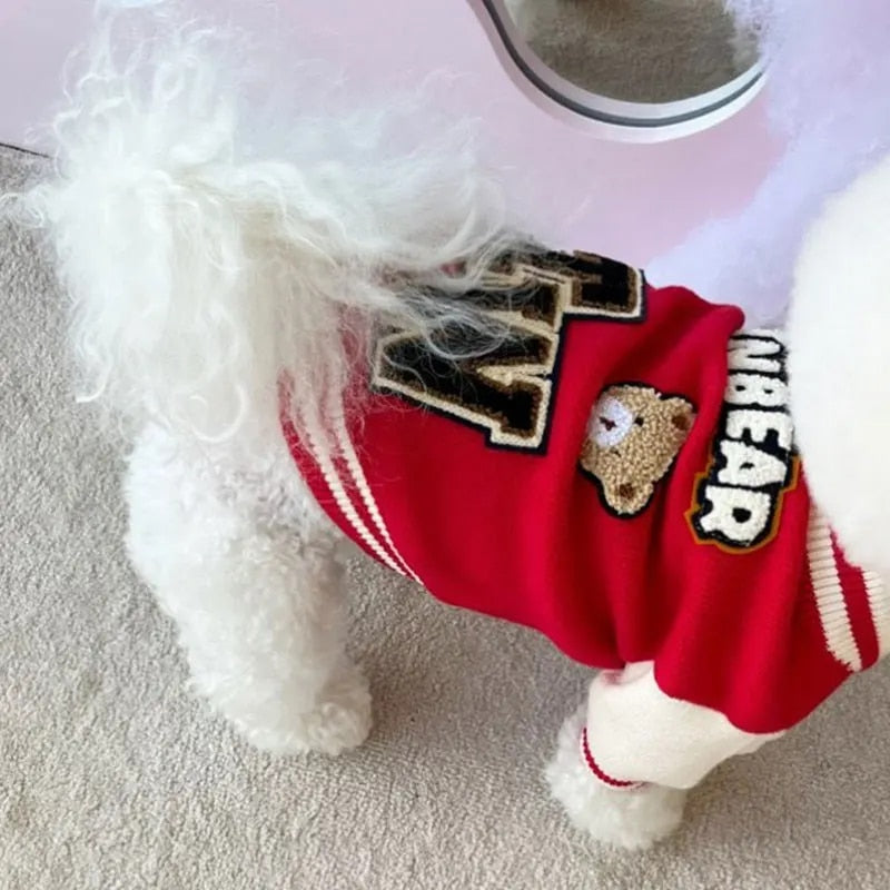 Bark Varsity Jacket Clothes Cute Dog Clothes