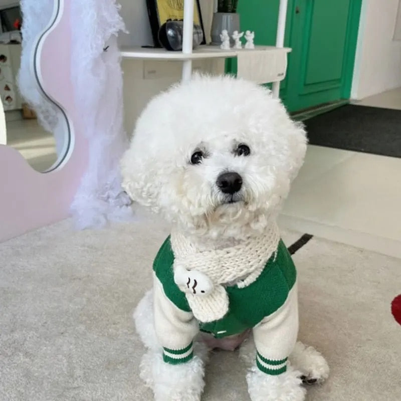 Bark Varsity Jacket Clothes Cute Dog Clothes