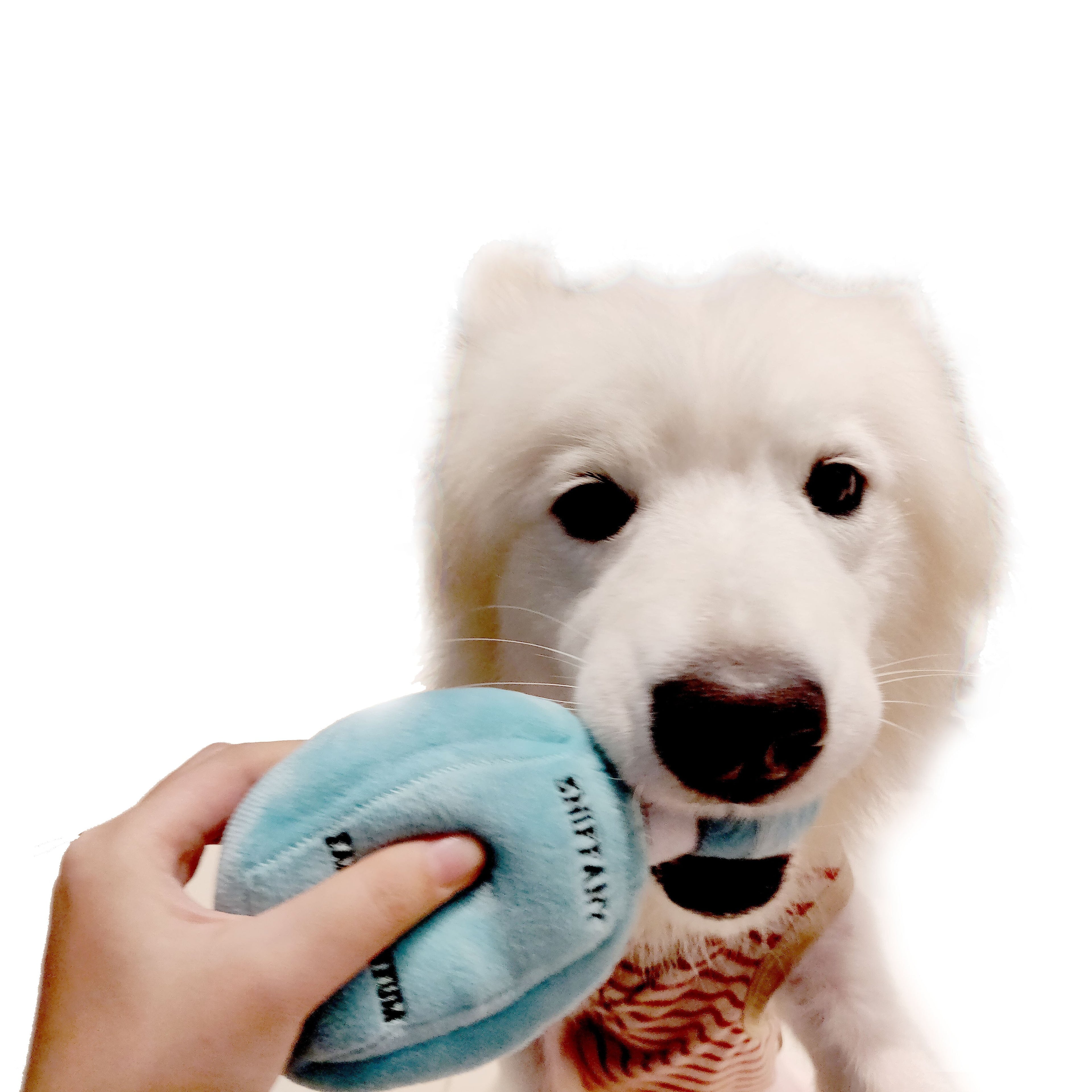 Luxury Dogs Chew  Squeaky Fleece Toys