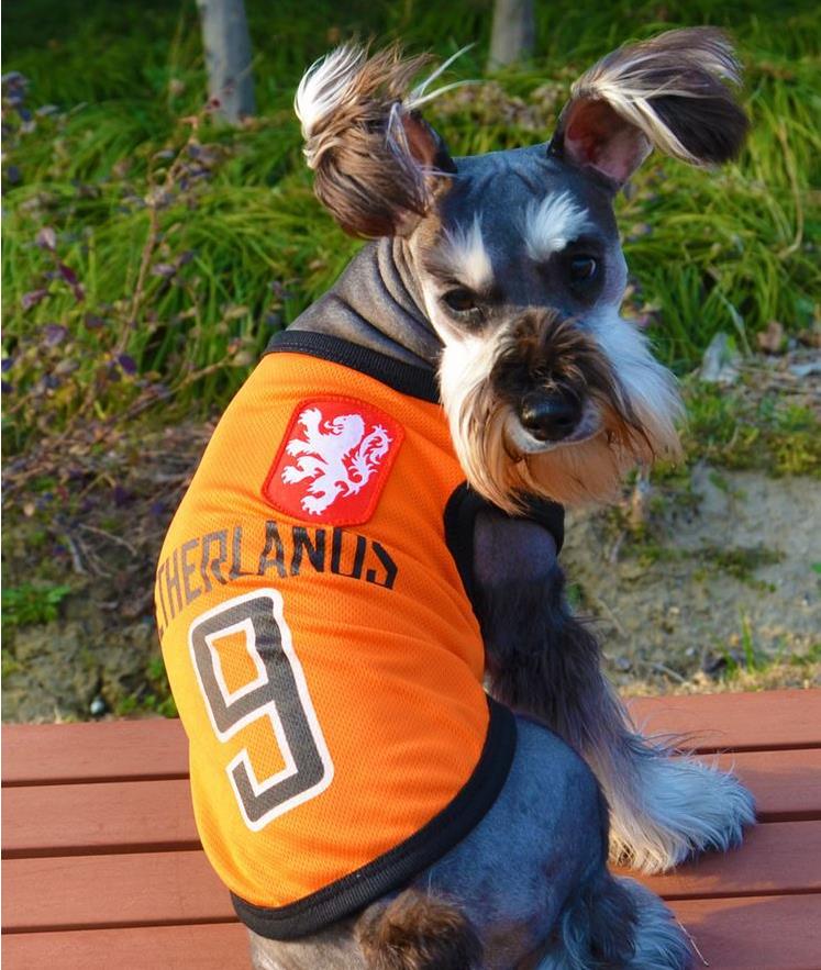 Football Dog Fans Vest