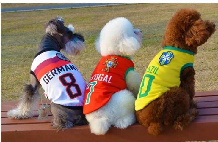 Football Dog Fans Vest