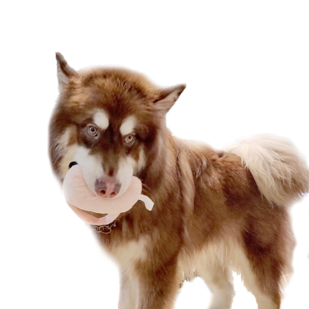 Luxury Dogs Chew  Squeaky Fleece Toys