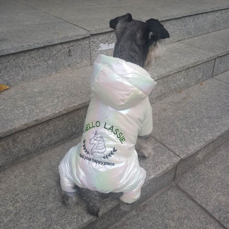 Dog Luxury Designer inspired Jumpsuit