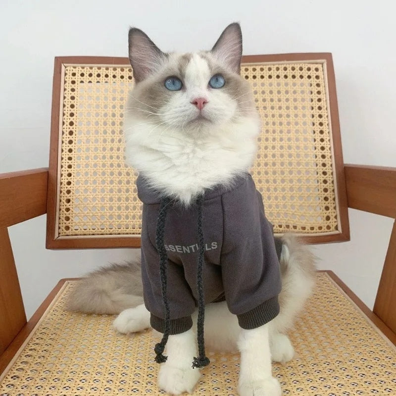 Essential Hoodie Pet Fashion Clothing