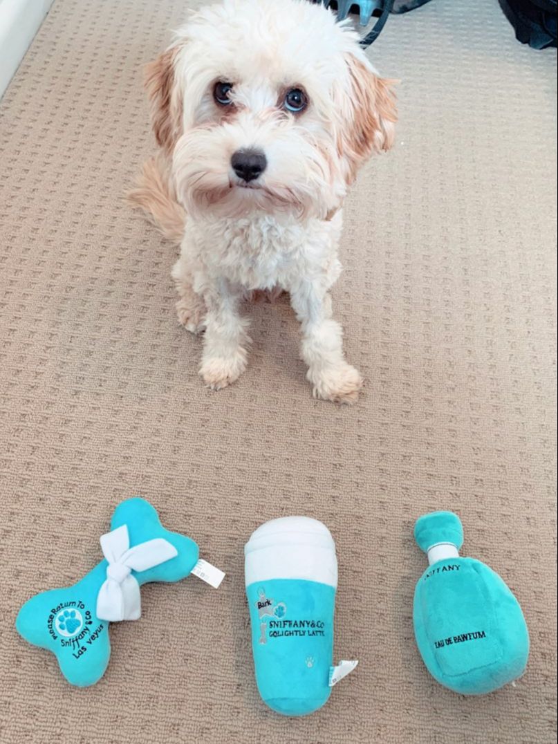 Luxury Dogs Chew  Squeaky Fleece Toys