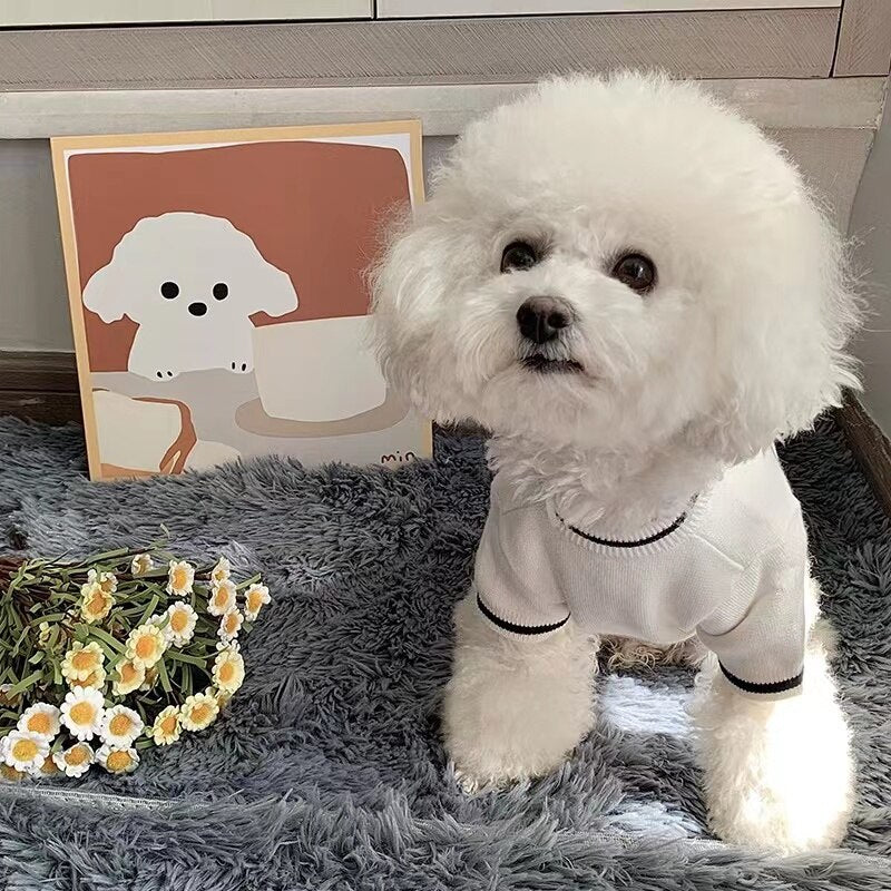 CHRISTIAN DOG Luxury Wool Sweater Designer Inspired