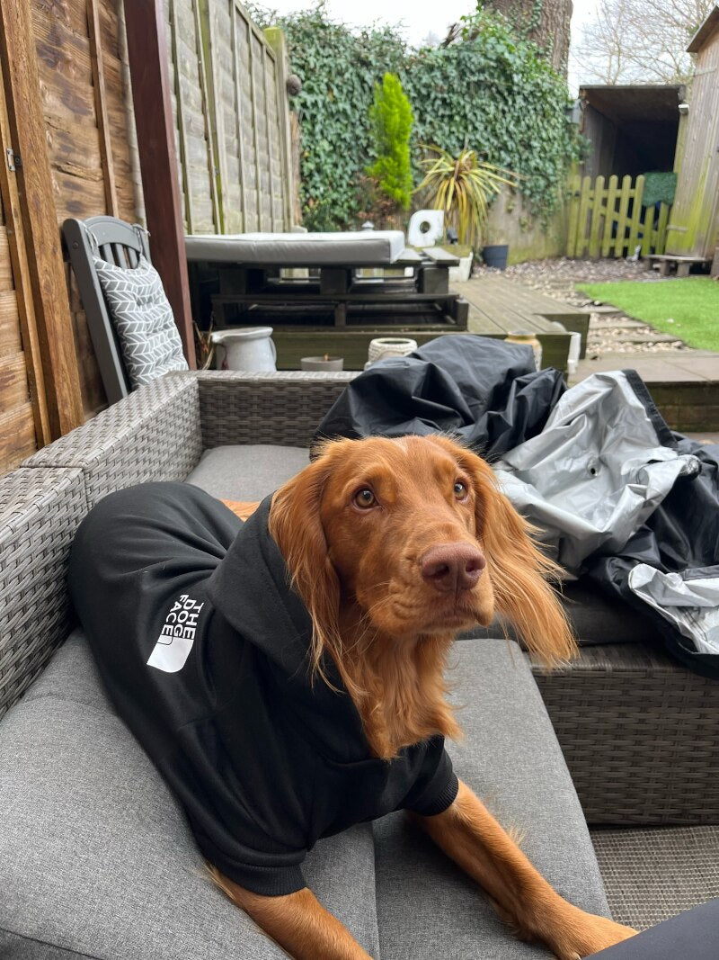 DOG FACE Dog Hoodie Sweatshirt