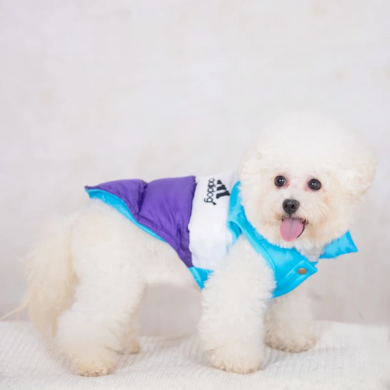 Color Block Dog Designer Windproof