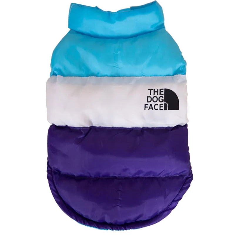 Color Block Dog Designer Windproof