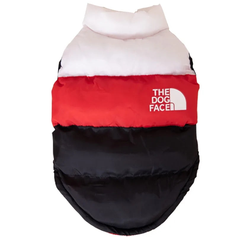 Color Block Dog Designer Windproof