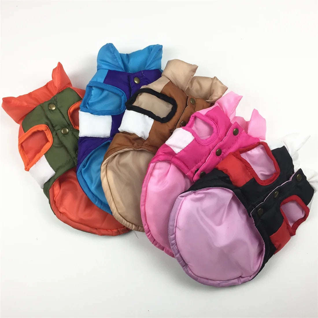 Color Block Dog Designer Windproof