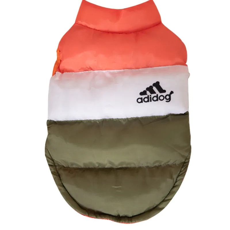 Color Block Dog Designer Windproof