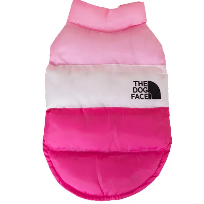 Color Block Dog Designer Windproof