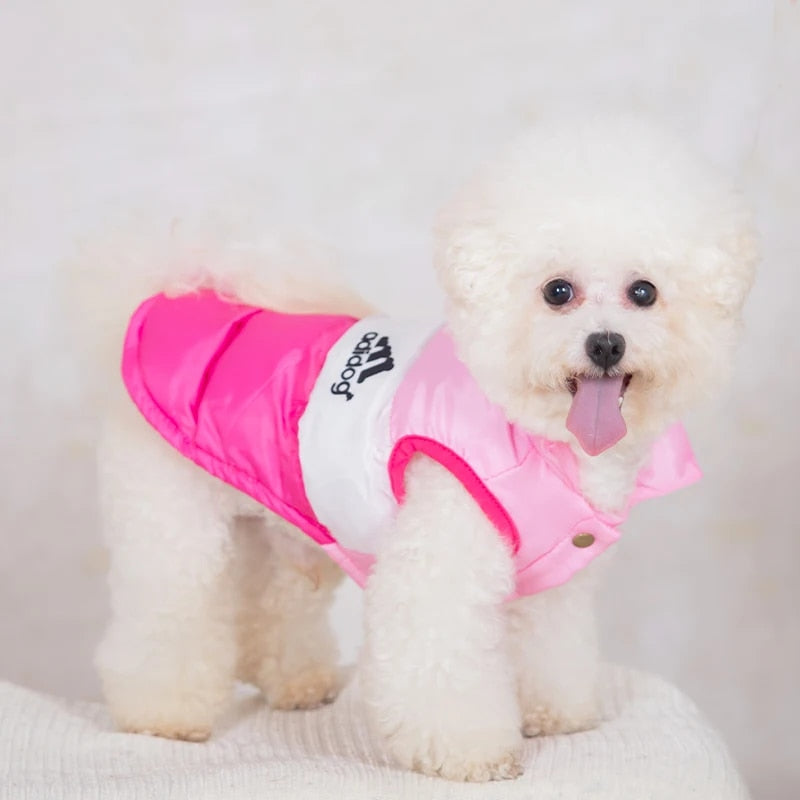 Color Block Dog Designer Windproof