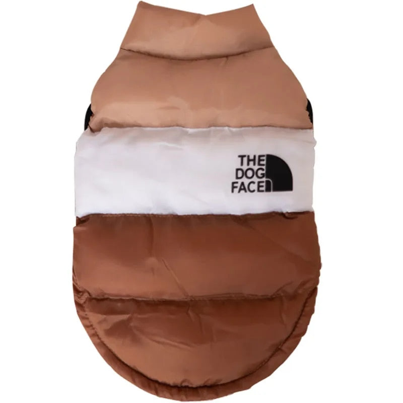 Color Block Dog Designer Windproof