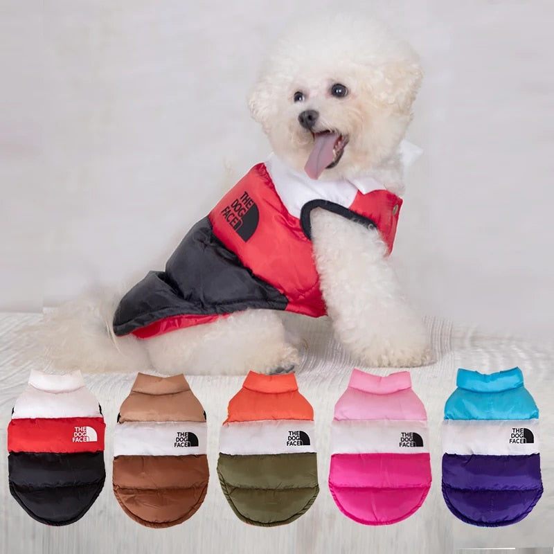 Color Block Dog Designer Windproof